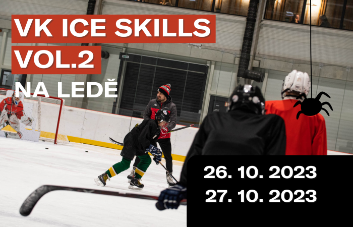 VK ice skills 2