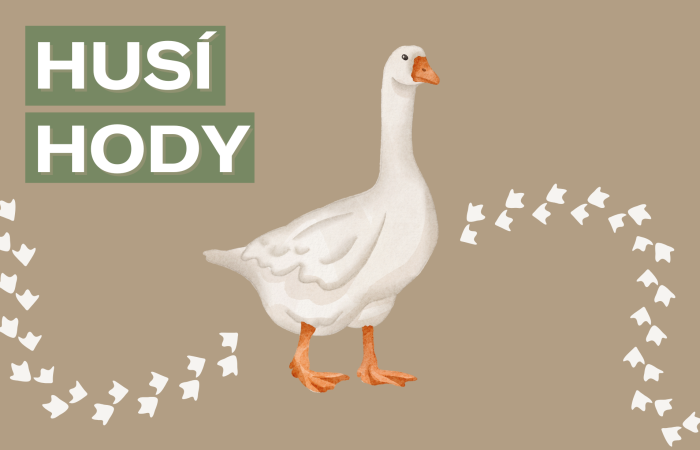 Husí hody Kapka resort